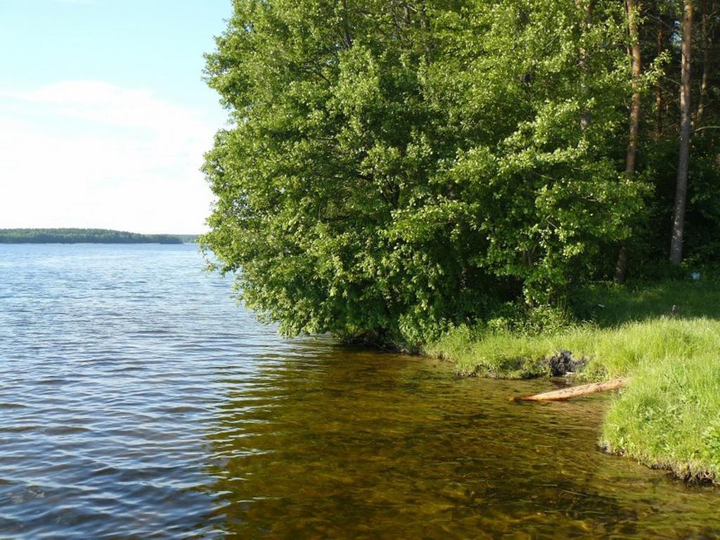 Domek Letniskowy - Jerutki Quarto foto